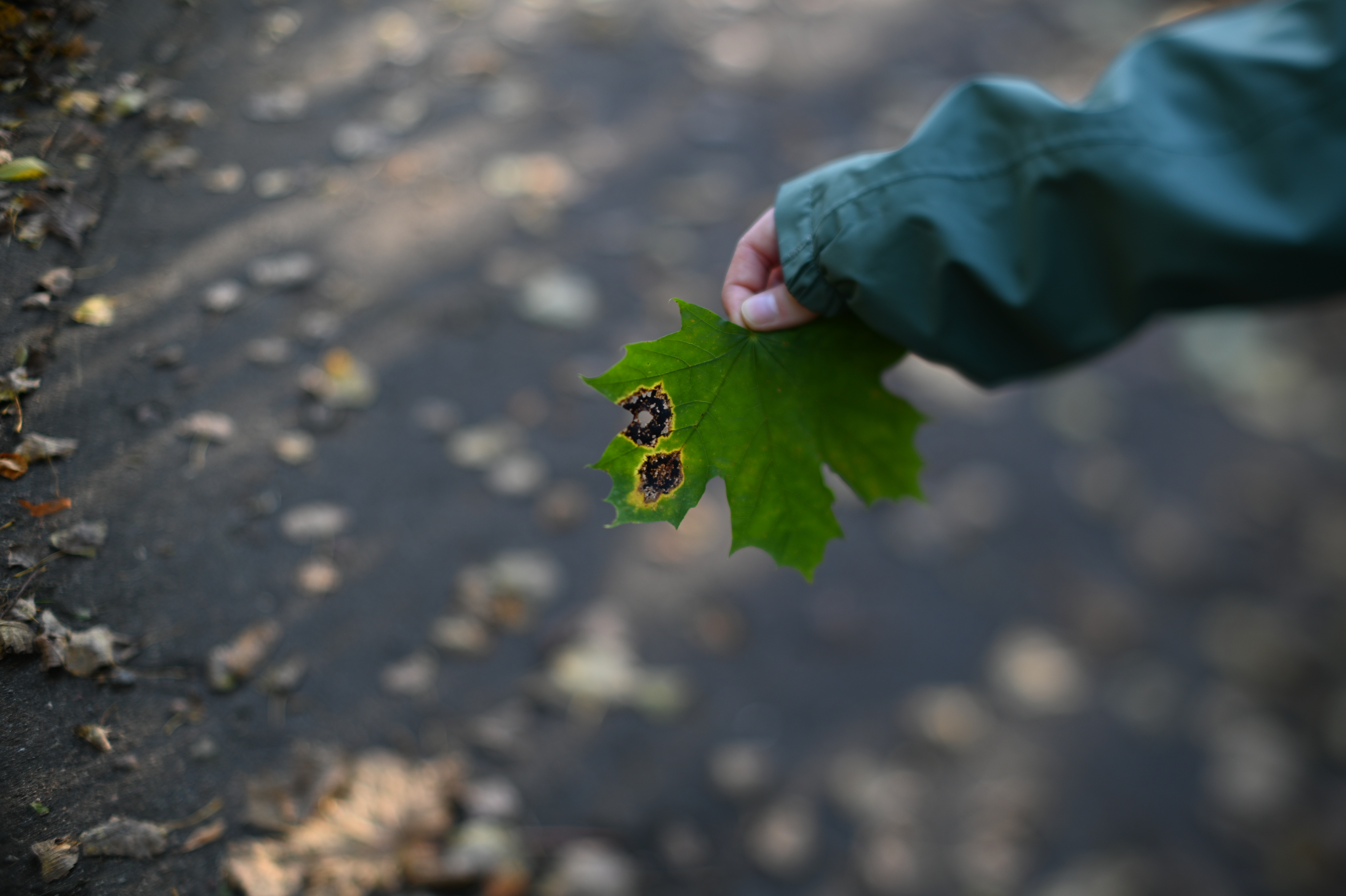 2025/10/18 - walk/DSC_0075.JPG